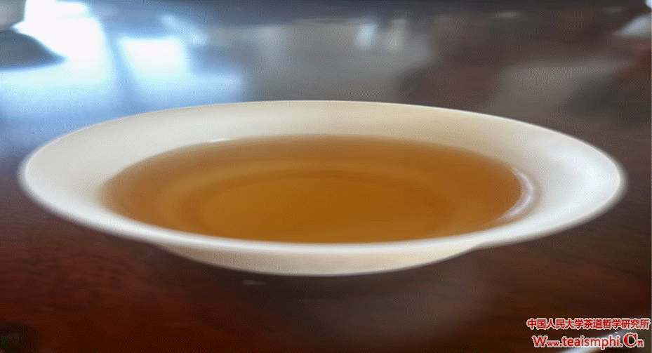 探索开展新路径：威九国际考察团调研白沙县茶产业